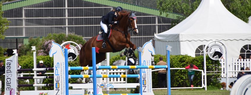 Restplätze bei den geförderten Springkursen frei. © NOEPS