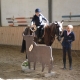 Valerie Sykora sticht den Kranz des Stieres. © privat