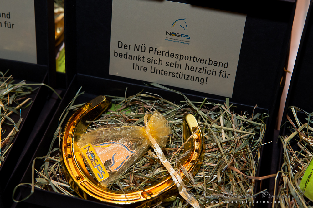 01_Sportlerehrung_Begruessung_und_Preise (2)_cscan-pictures.net