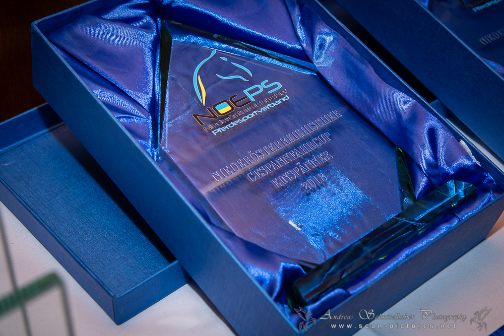 01_Sportlerehrung_Begruessung_und_Preise (4)_cscan-pictures.net