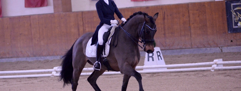 Elena Erbstein und Larifari 2 werden Zweite im Bartlgut Cup Klasse M. © Istvan Lehoczky