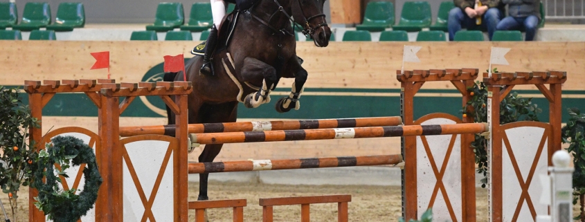 Julia Schönhuber siegte im 1,40 m hohen Hauptwoche von Woche 01 der Herbst-Tour im Magna Racino. © HORSIC.com
