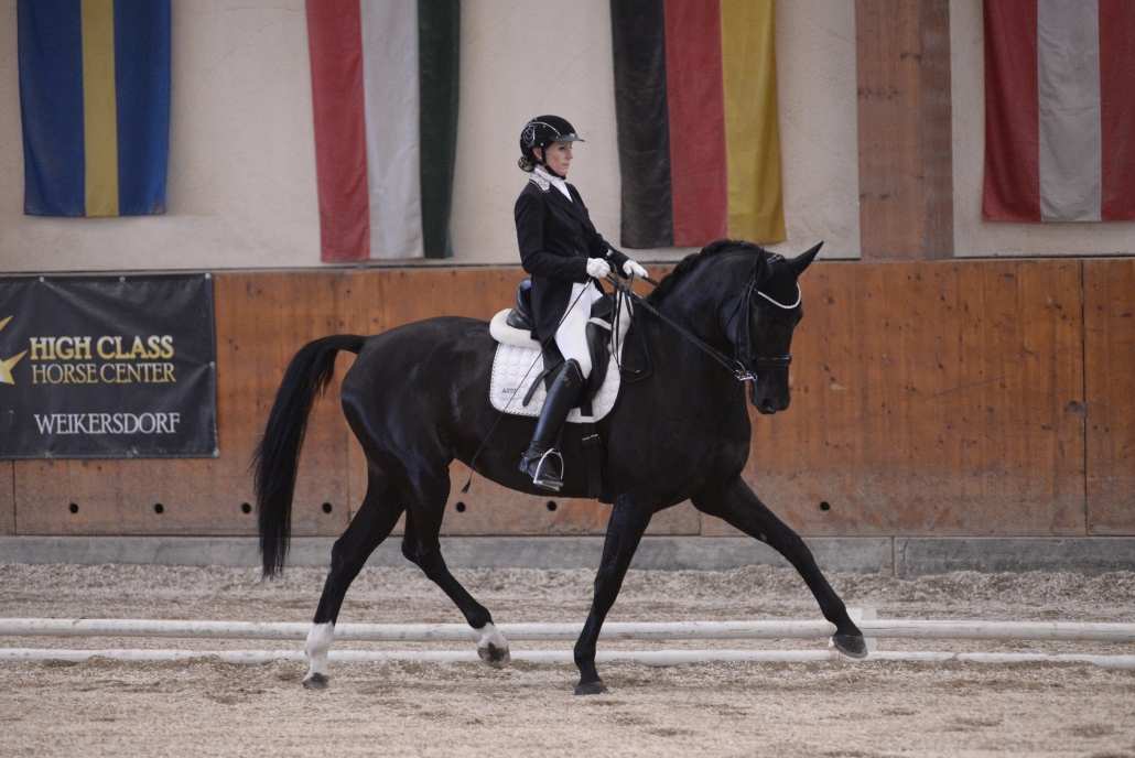 In Führung! Sabine Panis und Welpere GMS werden als Favoritenpaar in das Finale vom Bartlgut Cup einziehen. © Istvan Lehoczky