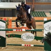 Sophie Pollak (RC Magna Racino) und FSS Catch Phrase auf dem Weg zum Finalsieg der Herbst-Tour im Magna Racino. © HORSIC.com