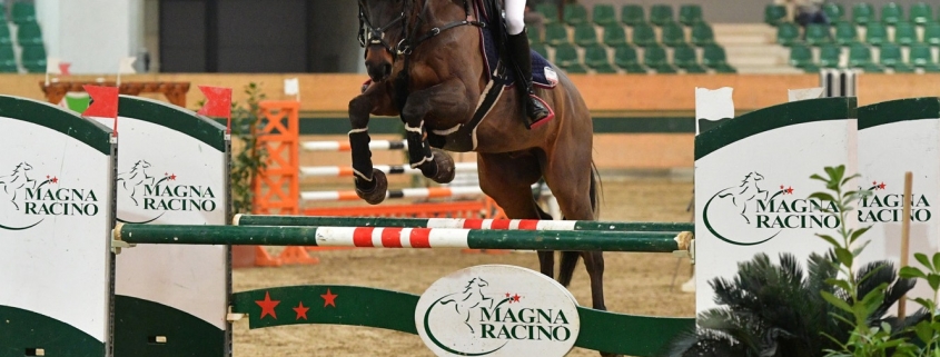 Sophie Pollak (RC Magna Racino) und FSS Catch Phrase auf dem Weg zum Finalsieg der Herbst-Tour im Magna Racino. © HORSIC.com