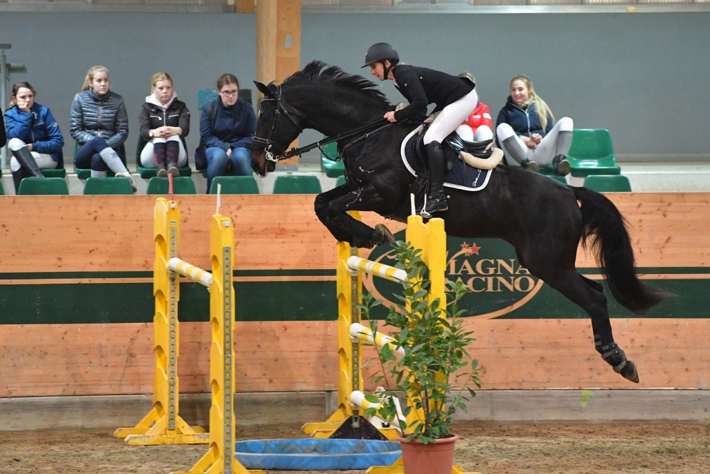 Bestes niederösterreichisches Duo im Racino Herbst-Tour Grand Prix: Melanie Riedl und Lanin 2. © HORSIC.com