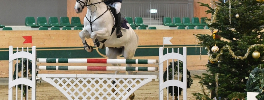 Christian Schranz wurde als bester Niederösterreicher Achter im Racino Advent Grand Prix und Zweiter über 1,35 m. © HORSIC.com