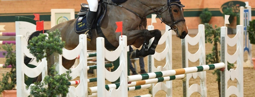 Die 15-jährige Julia Jaritz (NÖ) durfte sich zum Saisonauftakt über sehr gute Platzierungen bis zu einer Höhe von 1,25 m Höhe freuen. © HORSIC.com