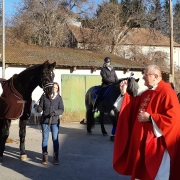 Impressionen vom Stephani-Ritt in Gallbrunn. © privat