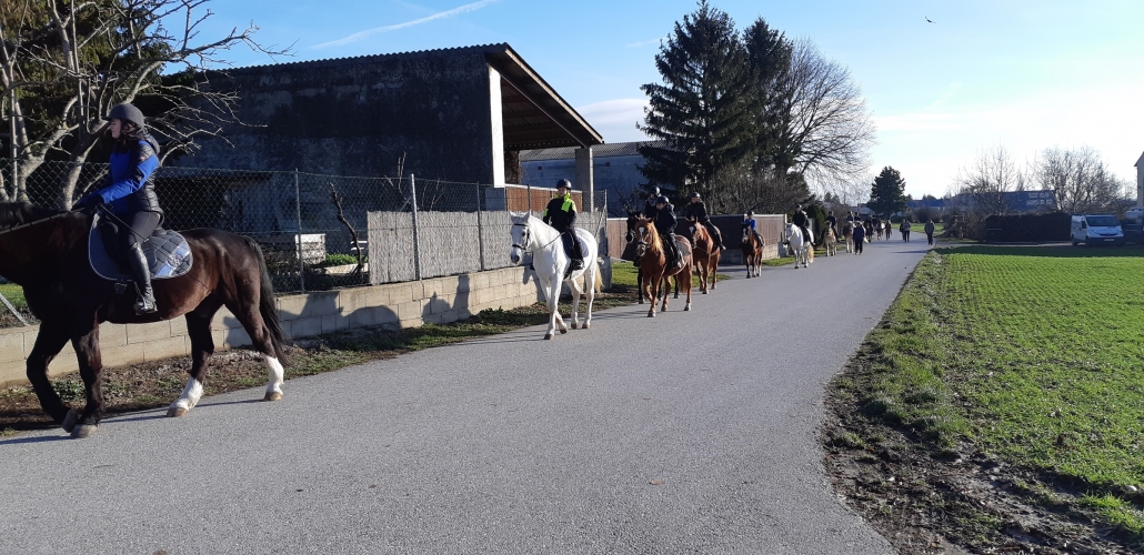 Impressionen vom Stephani-Ritt in Gallbrunn. © privat