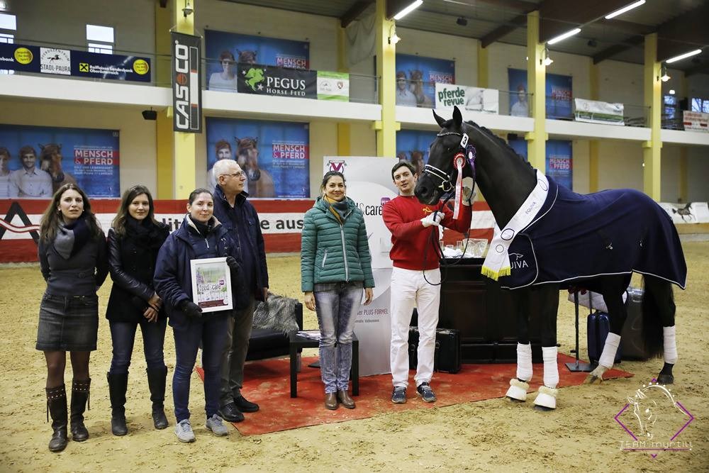 EQUIVA Junghengst 2019: Dom Perignon. © TEAM myrtill