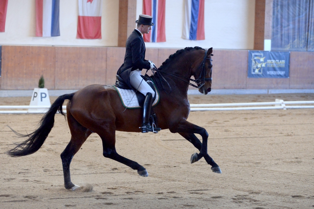 AlpenSpan Teamreiter Peter Gmoser (B) und Banderas. © Istvan Lehoczky