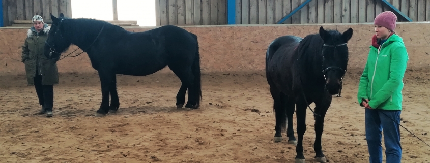 Impressionen vom Zirkuslektionenkurs mit Wolfgang Hellmayr im URFV Allhartsberg. © privat