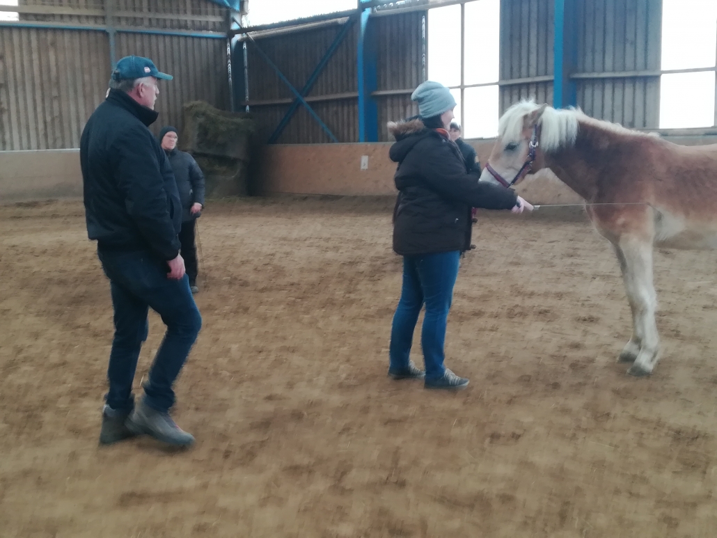 Impressionen vom Zirkuslektionenkurs mit Wolfgang Hellmayr im URFV Allhartsberg. © privat