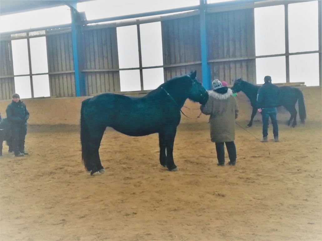 Impressionen vom Zirkuslektionenkurs mit Wolfgang Hellmayr im URFV Allhartsberg. © privat