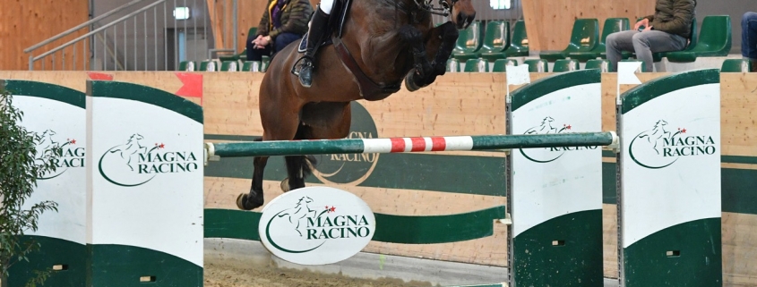 Katharina Rhomberg (V) war in Woche 01 der Winter Tour im Racino in Ebreichsdorf nur schwer zu schlagen. © HORSIC