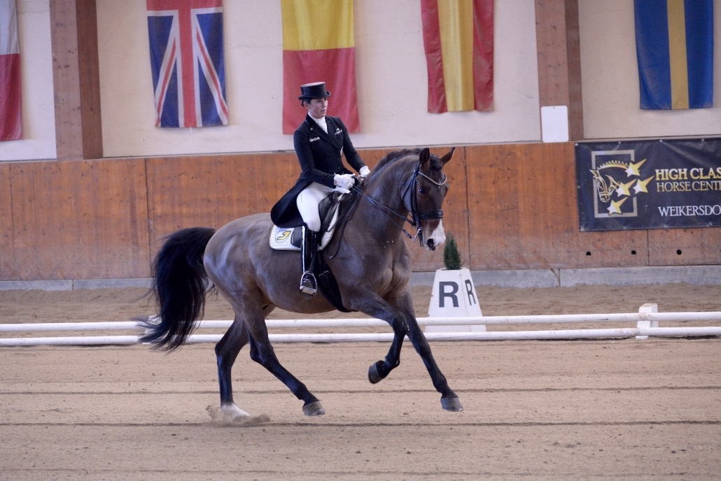 Erfolgreiches Wochenende für Belinda Weinbauer (B) und Briar Junior. © Istvan Lehoczky