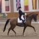 Sieg in der Kleinen Tour (68,553%) für die Niederösterreicherin Julia Dornig-Coppard und Dancing Hit. © Istvan Lehoczky