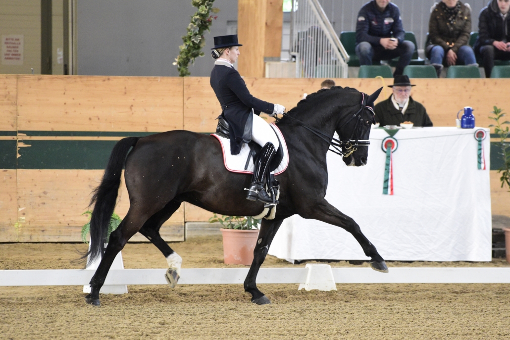 68,765% und damit der Sieg im Grand Prix Special für Franziska Fries und Atomic 2 bei der Sichtung im Magna Racino. © HORSIC.com