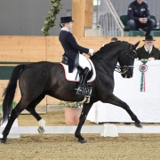 68,765% und damit der Sieg im Grand Prix Special für Franziska Fries und Atomic 2 bei der Sichtung im Magna Racino. © HORSIC.com