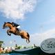 Vier Ranking-Springen und insgesamt 180.000,- Euro Dotation bei der Magna Racino Spring Tour von 25. April bis 05. Mai 2019. © Magna Racino