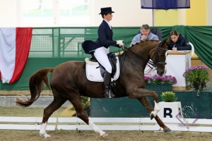 Die Lindhof Trophy 2019 wird in Kärnten, der Steiermark, Oberösterreich, Wien und Niederösterreich ausgetragen. © Team Myrtill