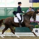 Die Lindhof Trophy 2019 wird in Kärnten, der Steiermark, Oberösterreich, Wien und Niederösterreich ausgetragen. © Team Myrtill