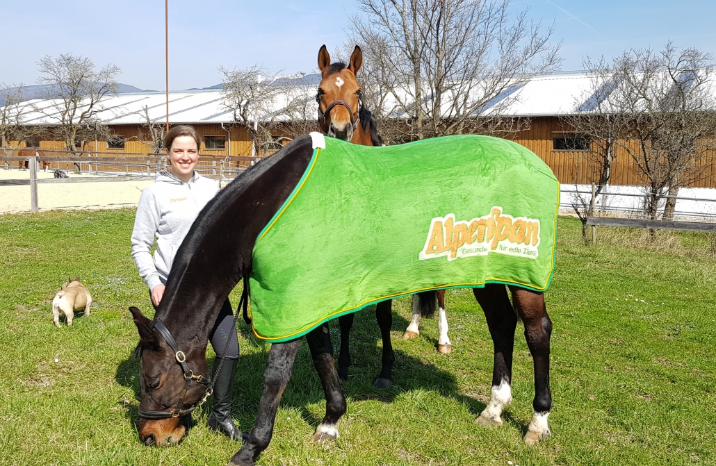AlpenSpan-Teamreiterin Charlotte Dobretsberger mit „Oldie“ Excalibur MT und der Quen Quality, der Mutter ihrer zukünftigen Nachwuchshoffnung. © AlpenSpan