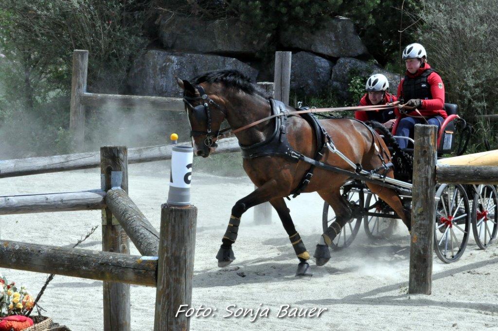 Impressionen vom CAI Karlstetten. © Sonja Bauer