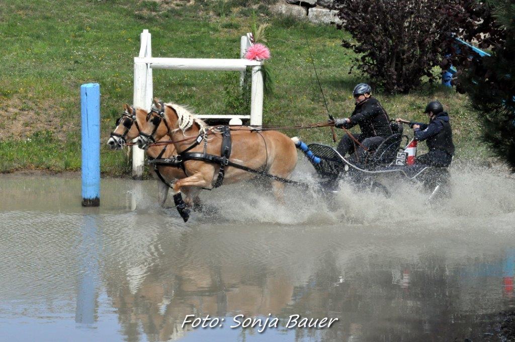 Impressionen vom CAI Karlstetten. © Sonja Bauer