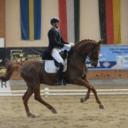 High Class Horse Center Weikersdorf: Niederösterreichischer Sieg durch Christian Almer und Sir Marlon im Grand Prix. © Istvan Lehoczky