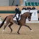 Team-Weltmeisterin Jessica von Bredow-Werndl (GER) und Zaire siegten in der Qualifikation zur Grand Prix Kür. © Michael Rzepa