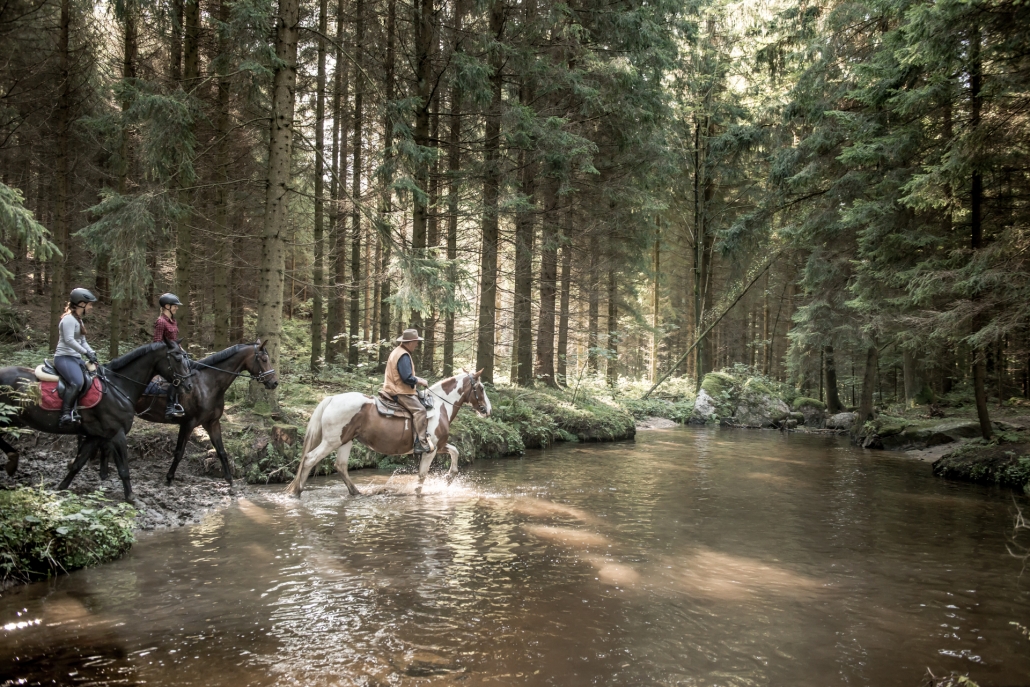 Naturgenuss in Trab und sanftem Schritt. © Pferdereich/ Erber
