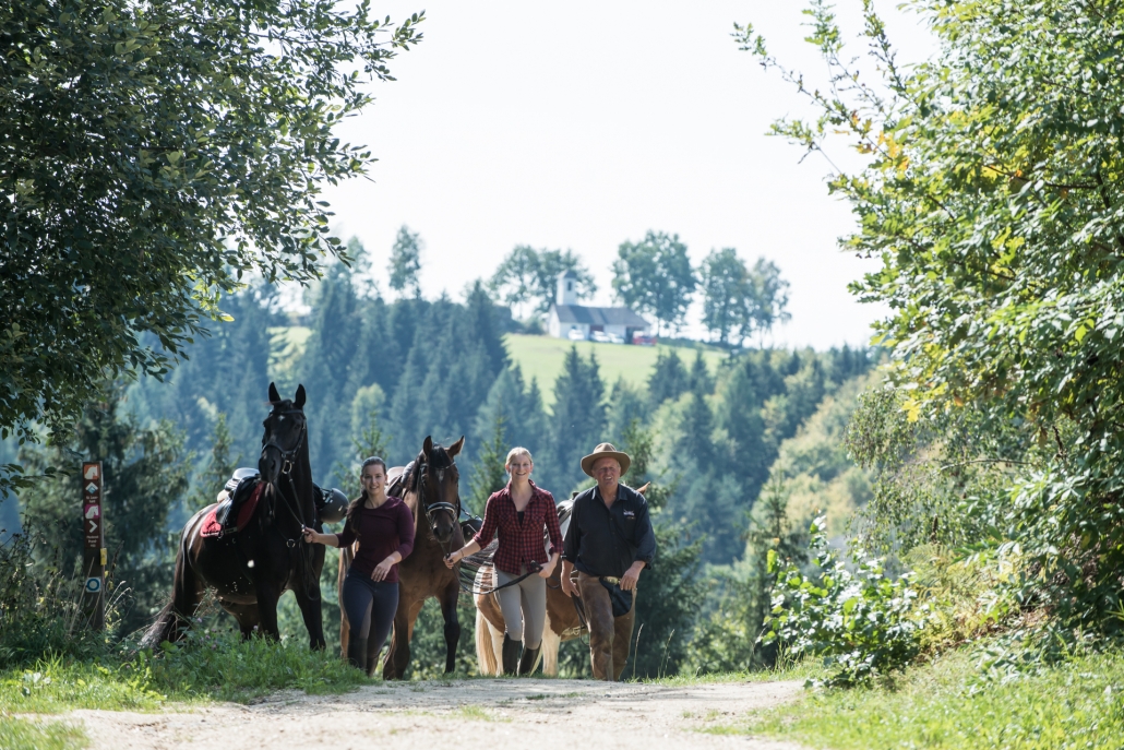 „Entschleunigung auf vier Hufen“ im Pferdereich Mühlviertler Alm. © Pferdereich/ Erber