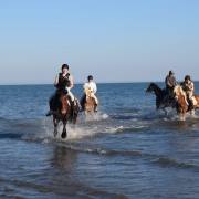 Impressionen von der Reitjagd am 23. März 2019 am Strand in Brussa Caorle (ITA). © privat