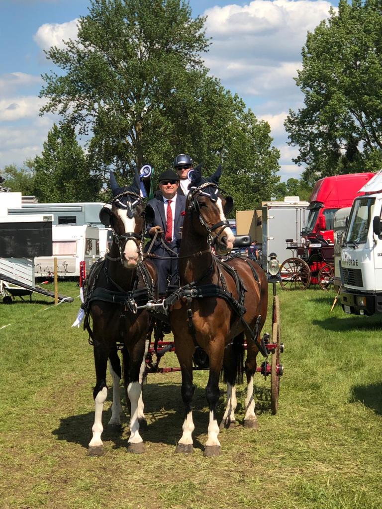 Platz 8 für Niederösterreichs Erwin Gillinger beim int. Zweispännerturnier der legendären Royal Windsor Horse Show. © privat