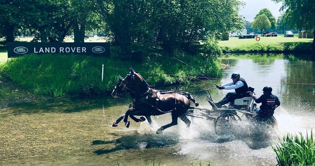 Platz 6 für Erwin Gillinger (NÖ) im Marathon bei der Royal Windsor Horse Show. © privat