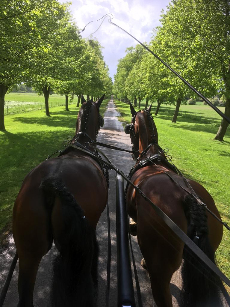Einmaliges Ambiente bei der Royal Windsor Horse Show. © privat