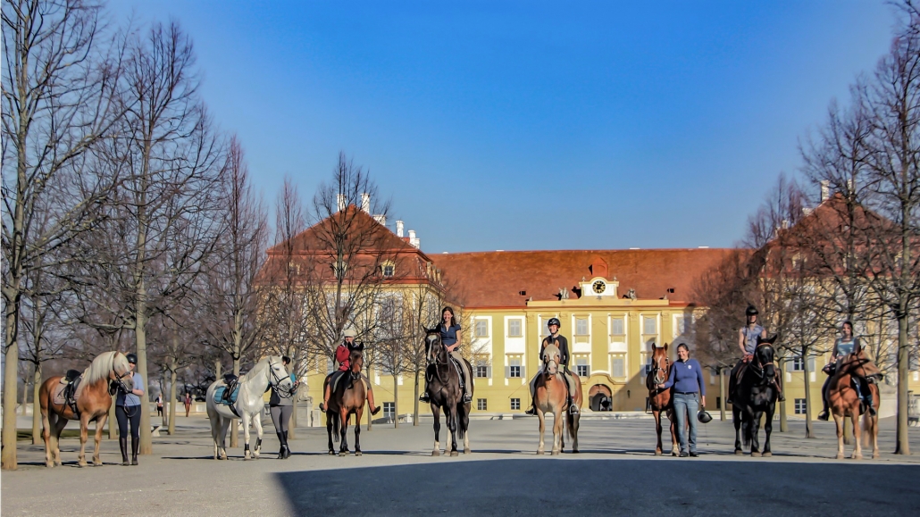 Ende April fand auf der wunderschönen Anlage von Schlosshof im Marchfeld ein Kurs mit Manuel Oliveira statt. © V. Kierner