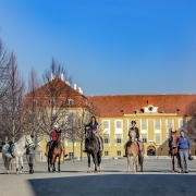 Ende April fand auf der wunderschönen Anlage von Schlosshof im Marchfeld ein Kurs mit Manuel Oliveira statt. © V. Kierner