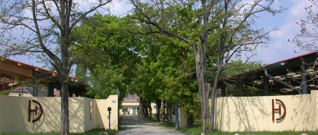 Für die österreichischen Reiner steht am 7. Juni die Sichtung an beim CRI 1-3* in Wiener Neustadt an. © AWA