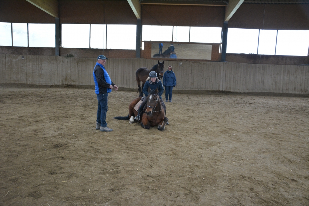 Impressionen vom Kurs mit Wolfgang Hellmayr im Pferdehaus Katharina in Gföhl (NÖ). © privat