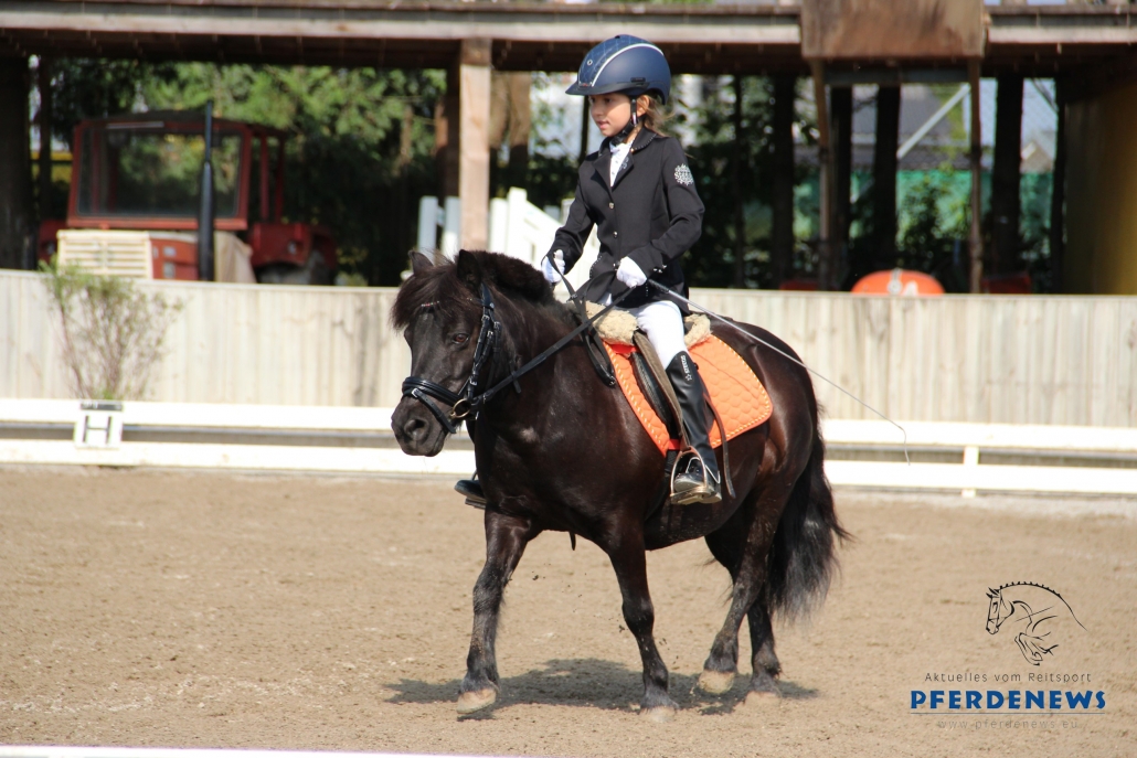 Der Mostviertel Pony Cup 2019 sowie der Mostviertel Cup 2019 machen am 27. und 28. Juli auf Gut Breitfeld Station. © pferdenews.au