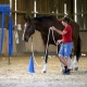Impressionen vom 1. Horse Agility (20.+21. Juni 2019) Turnier am Thavonhof. © Lena Höbling