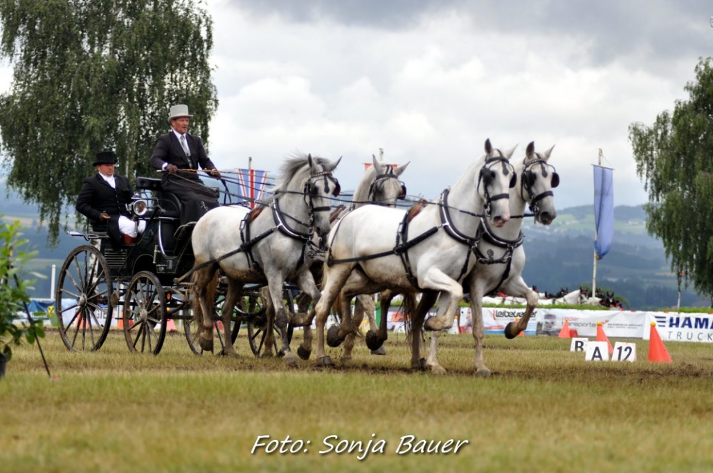 Bronze bei der Österreichischen Meisterschaft der Vierspänner in Altenfelden für Andreas Ruschitzka. © Sonja Bauer