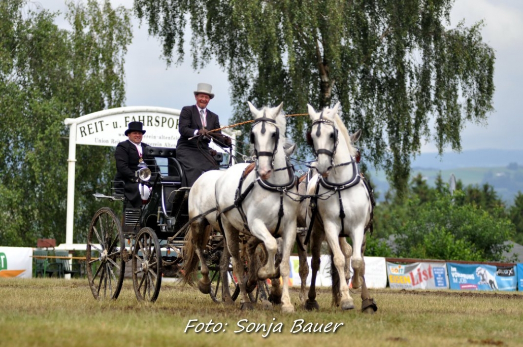 Bronze bei der Österreichischen Meisterschaft der Vierspänner in Altenfelden für Andreas Ruschitzka. © Sonja Bauer