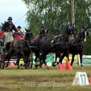 Christian Schlögelhofer fuhr beim CAI3* Altenfelden (OÖ) zum Österreichischen Meistertitel der Vierspänner. © Sonja Bauer