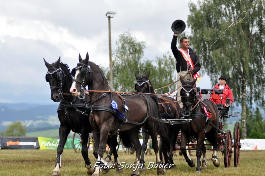 Der strahlende Österreichische Meister der Vierspänner Christian Schlögelhofer. © Sonja Bauer