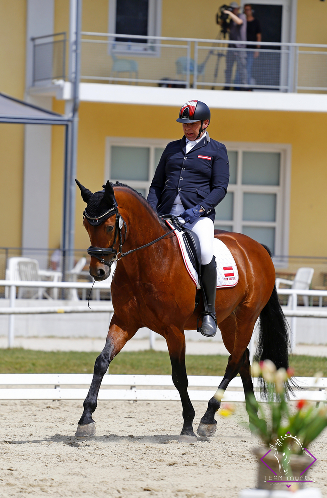 Teilnehmer, Olympiareiter und Veranstalter Thomas Haller. © TEAM myrtill