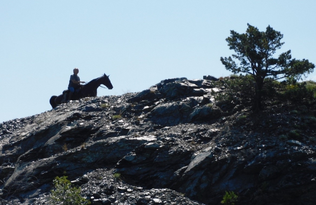 Wanderreiten im Mittelburgenland: Ein Bericht von Edith Leitner. © privat
